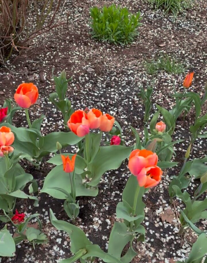 Instagram post from dramarcellesanjuan. This post is in position 5.